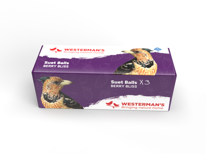 3 x Suet Balls Berry - Single Pack