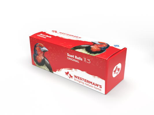 3 x Suet Balls Original - Single Pack
