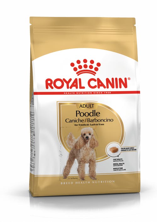 Royal Canin Poodle Adult From 10 Months to Adult and Mature