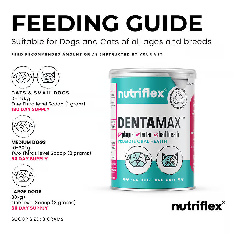 NutriFlex DentaMax 180g TUB - Clean Teeth, Eliminate Bad Breath and Remove Plaque For Dogs and Cats (3g SCOOP)