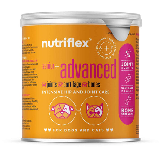 NutriFlex  Collagen For Dogs+Cats Advanced Mobility Complex 150g