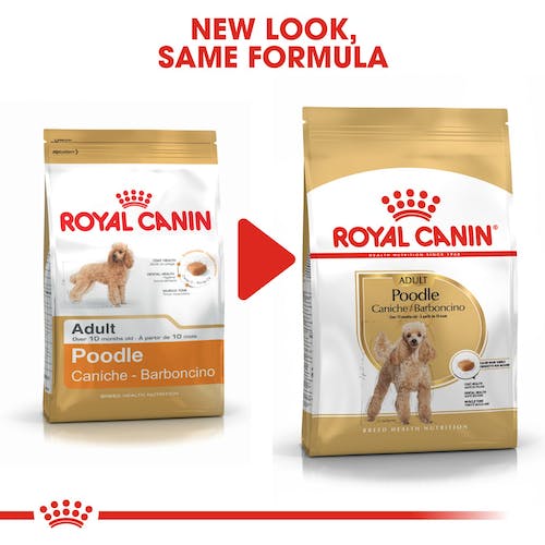 Royal Canin Poodle Adult From 10 Months to Adult and Mature