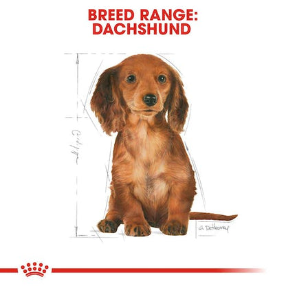 Royal Canin Dachsund Puppy From 2 to 10 Months 1.5Kg