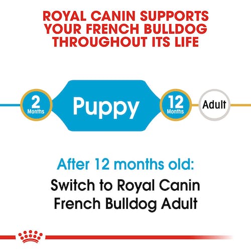 Royal Canin French Bulldog Puppy 3Kg