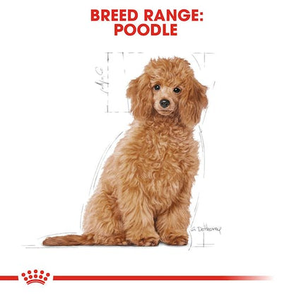 Royal Canin Poodle Puppy 3Kg