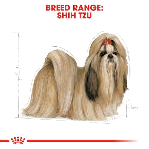 Royal Canin Shih Tzu Adult From 10 Months to Adult and Mature