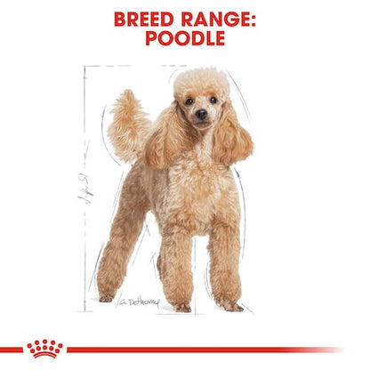 Royal Canin Poodle Adult From 10 Months to Adult and Mature