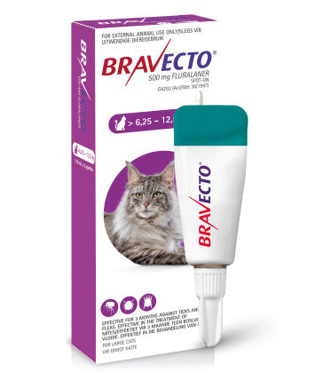 Bravecto Spot-On Cat