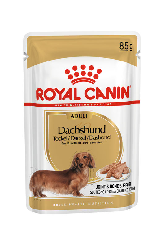 Royal Canin Dachshund Adult From 8 Months to Adult & Mature 12 X 85g