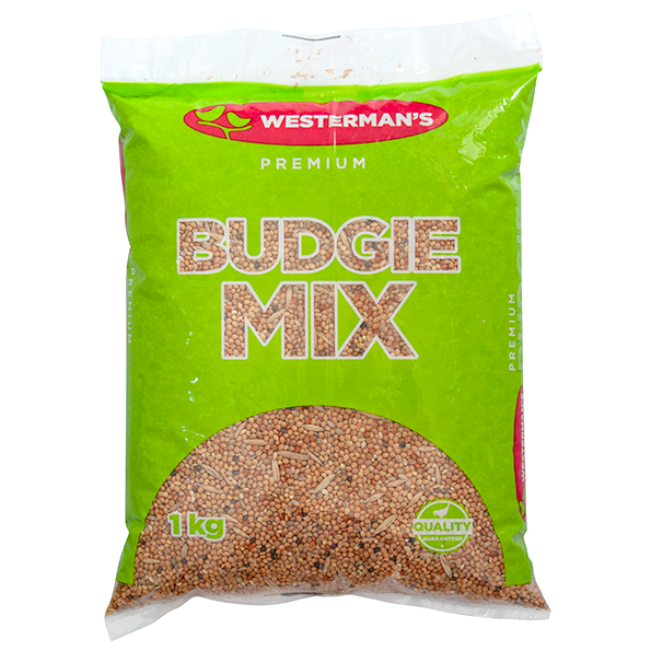 Westerman's Budgie Mix