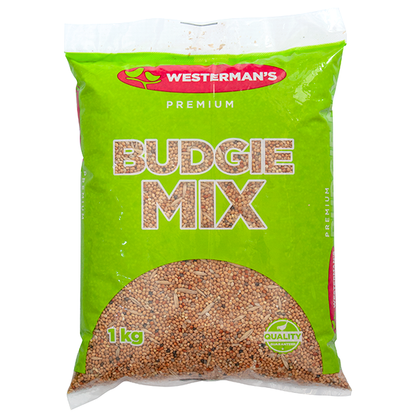 Westerman's Budgie Mix