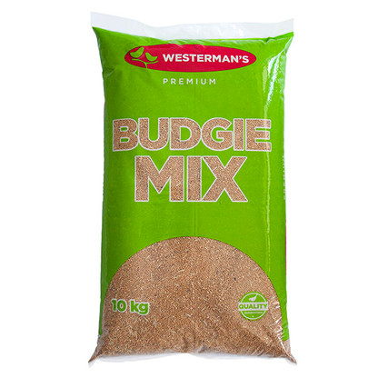 Westerman's Budgie Mix