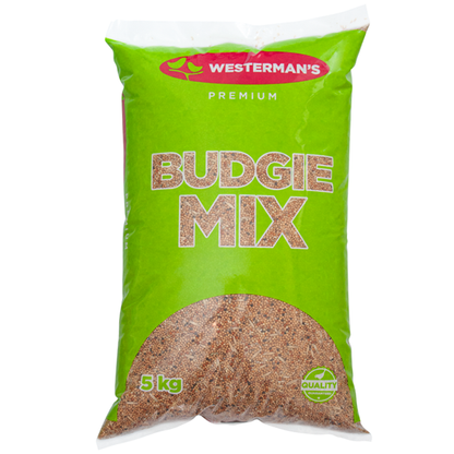 Westerman's Budgie Mix