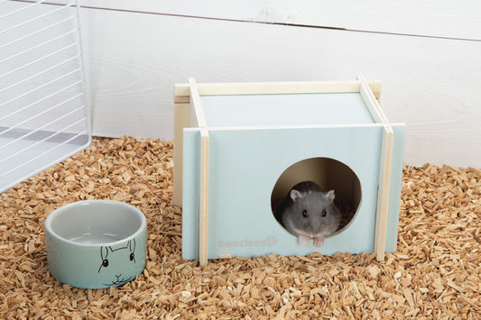 Rodent House Small