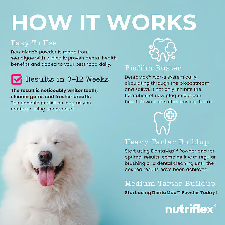 NutriFlex DentaMax 180g TUB - Clean Teeth, Eliminate Bad Breath and Remove Plaque For Dogs and Cats (3g SCOOP)
