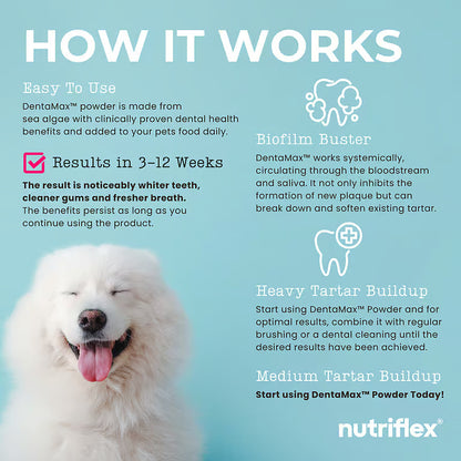 NutriFlex DentaMax 180g TUB - Clean Teeth, Eliminate Bad Breath and Remove Plaque For Dogs and Cats (3g SCOOP)