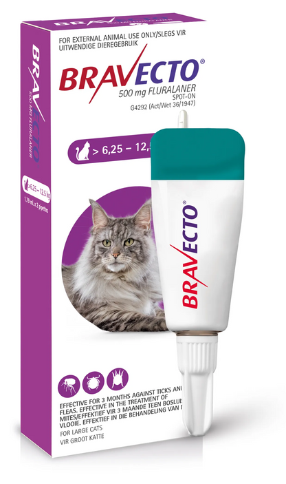 Bravecto Spot-On Cat