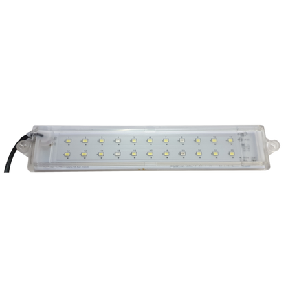 C/ LED Light 5W (White and Blue)