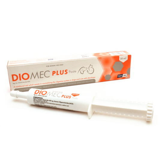 Diomec Plus Paste 15Ml