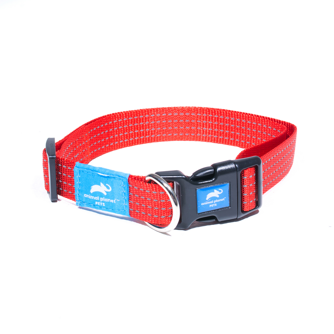 Dog Collars, Leads and Harnesses – The Queen Pet Shop