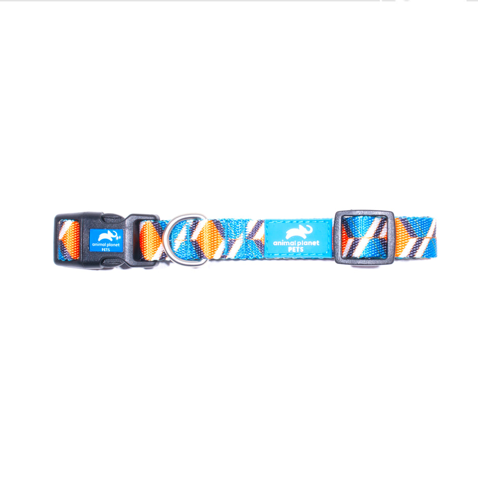 Dog Collars, Leads and Harnesses – The Queen Pet Shop