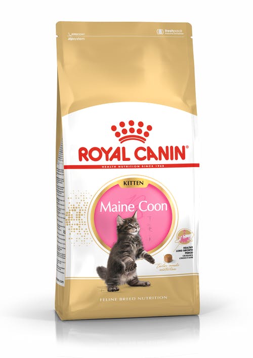 Royal Canin Maine Coon Kittens