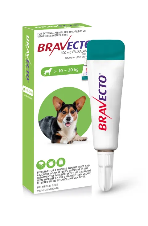 Bravecto shop best sale