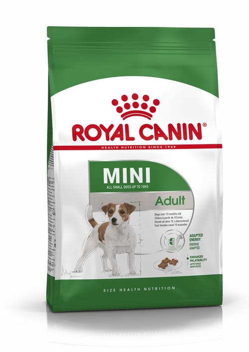 Royal Canin Mini Adult From 10 Months