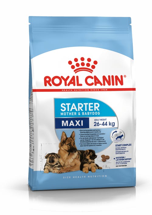 Royal Canin Maxi Starter Mother & Baby Dog 15Kg
