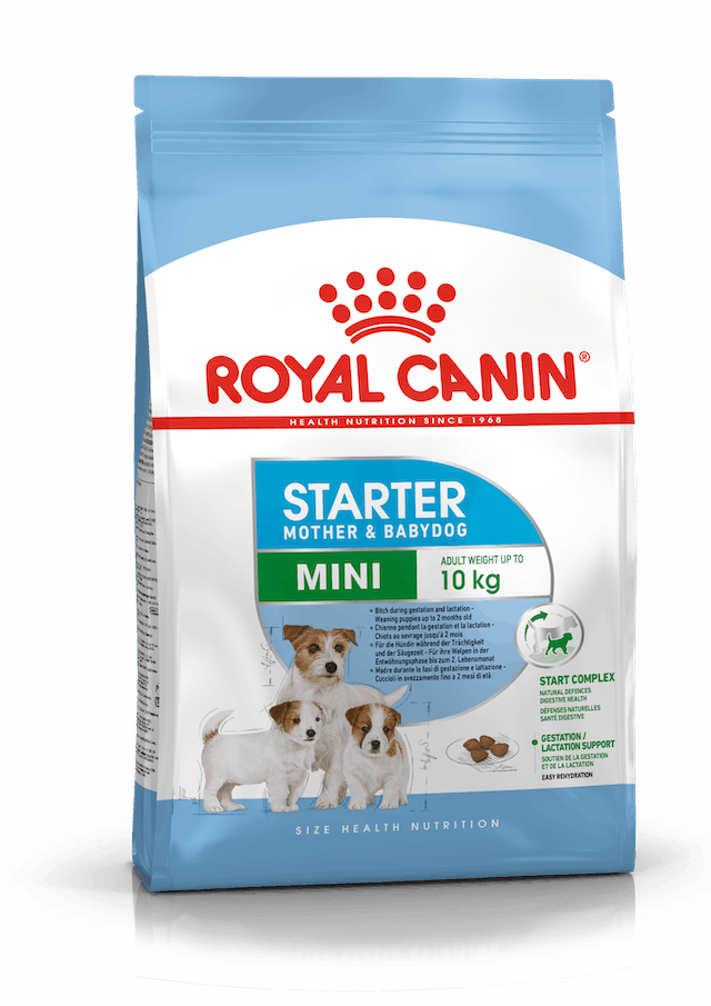 Royal Canin Mini Starter Mother and Baby Dog 4Kg