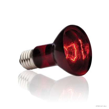 Exo Terra Heat Glo Infrared Heat Lamp