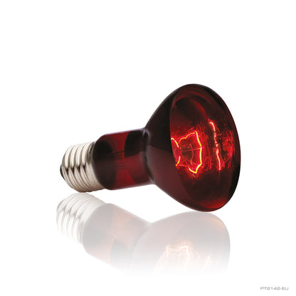 Exo Terra Heat Glo Infrared Heat Lamp