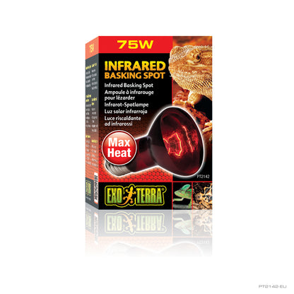 Exo Terra Heat Glo Infrared Heat Lamp