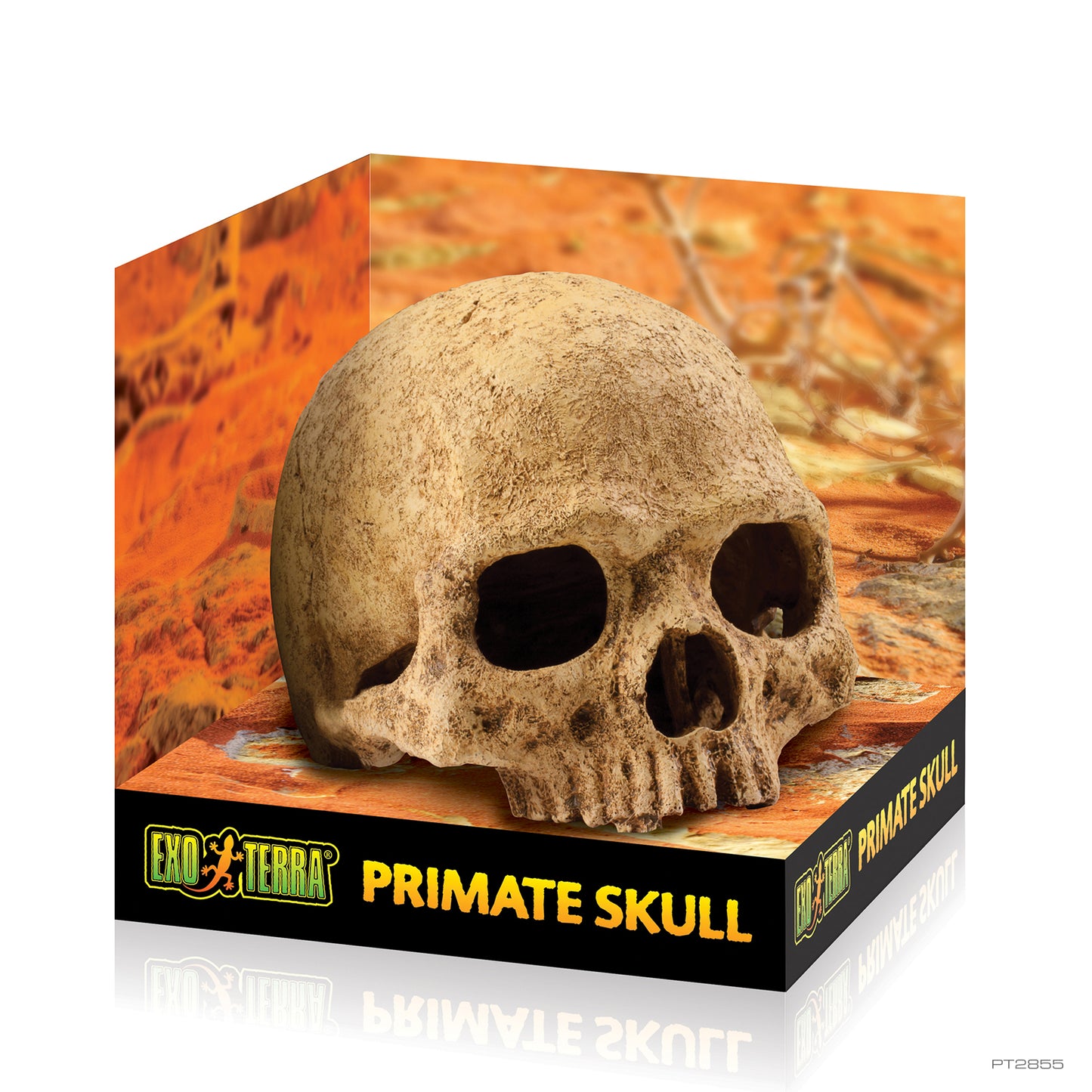 Exo Terra-Reptile Hiding Cave - Primate Skull