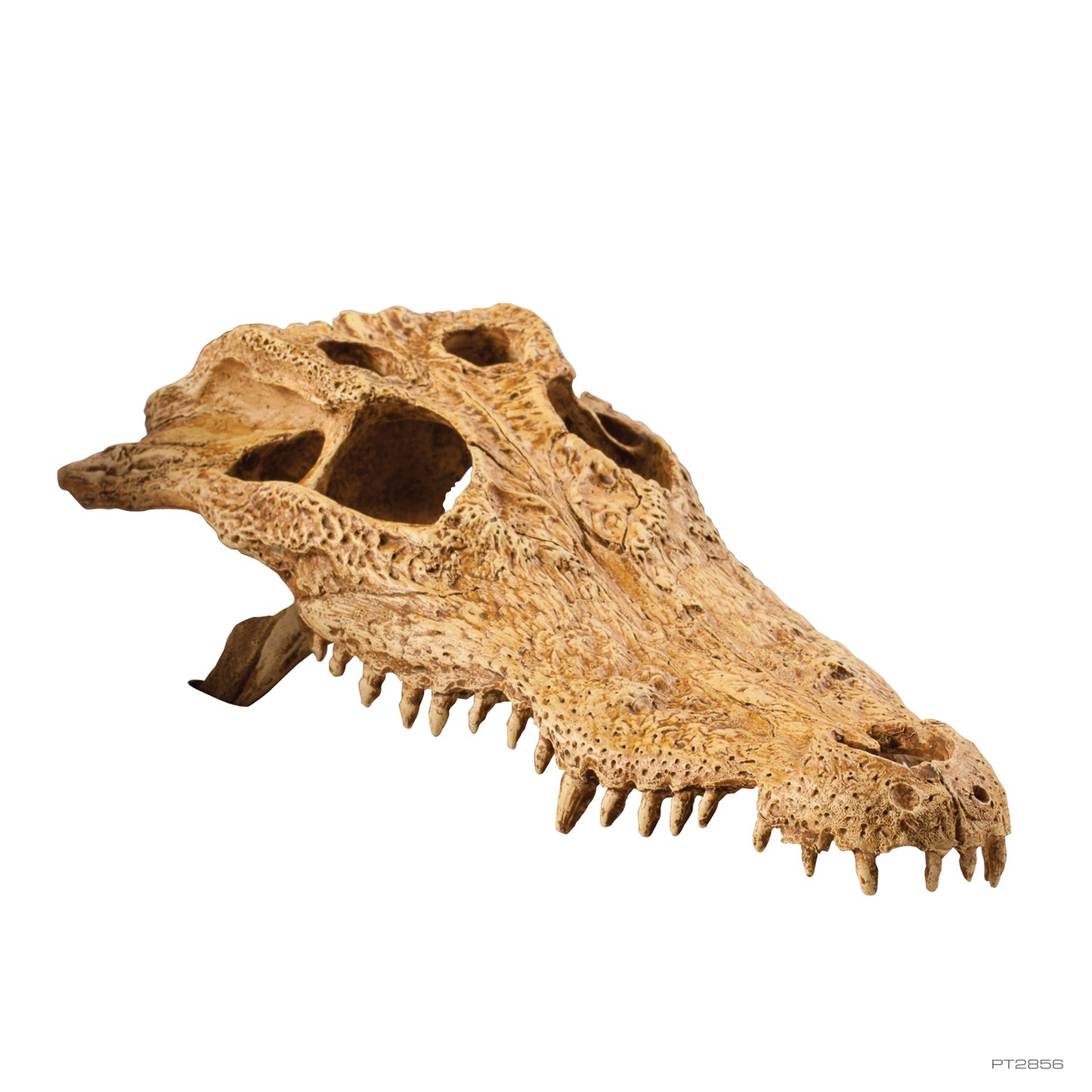Exo Terra-Reptile Hiding Cave - Crocodile Skull