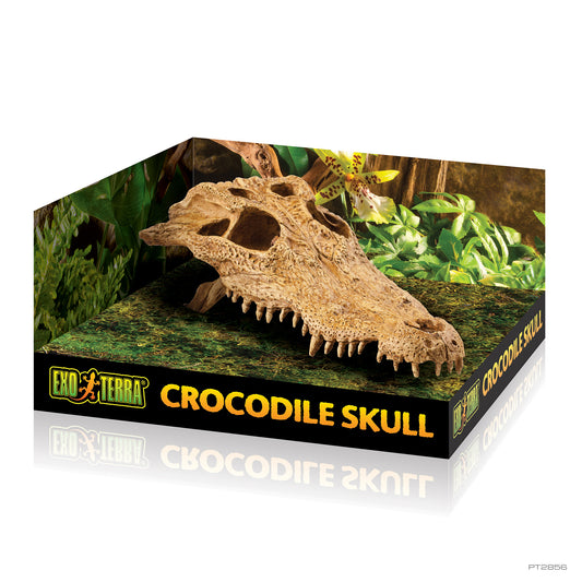 Exo Terra-Reptile Hiding Cave - Crocodile Skull
