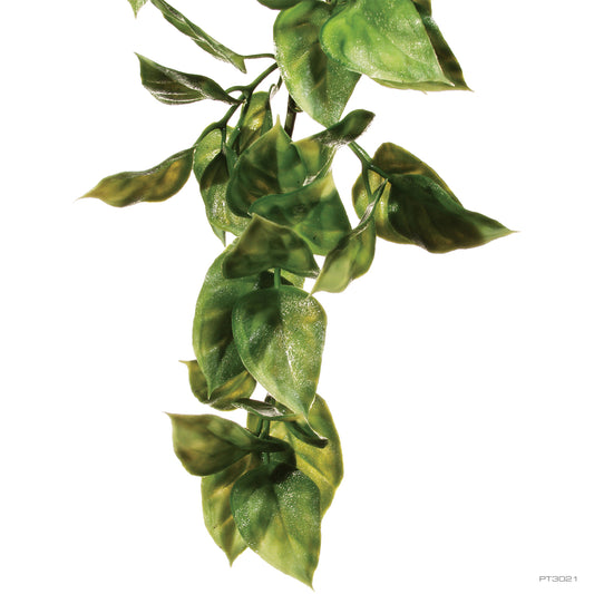 Exo Terra Jungle Plant Amapallo - Large