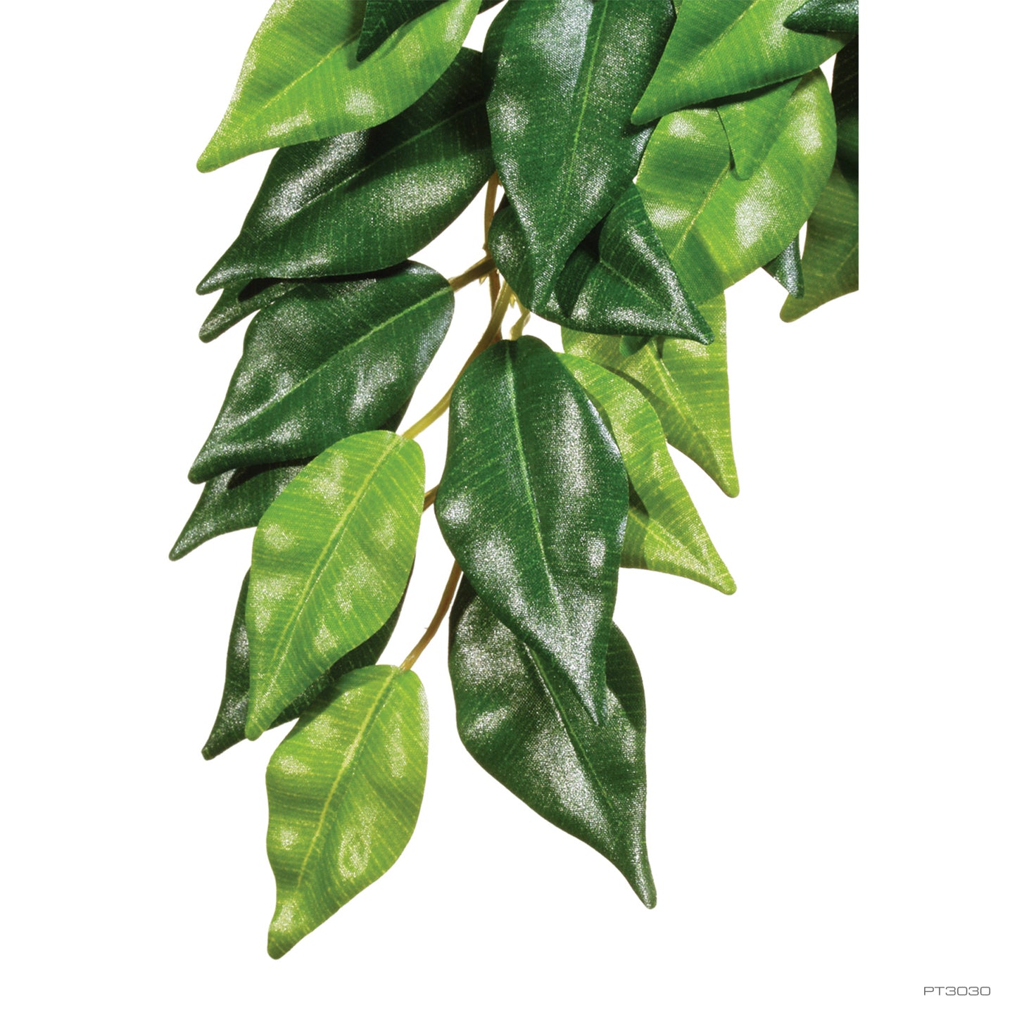 Exo Terra-Jungle Plant Ficus - Small