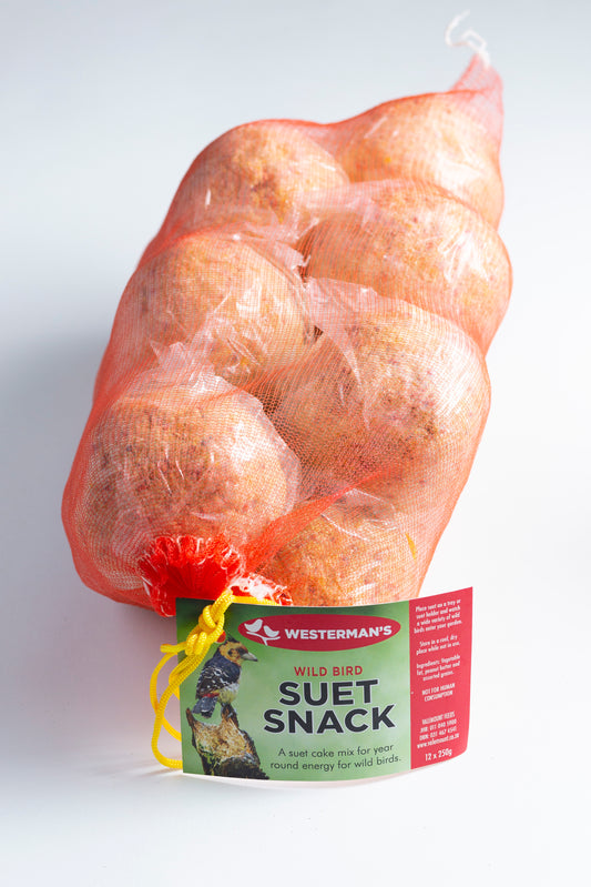 Suet Snack Ball Bulk Pack (12 x 250g)