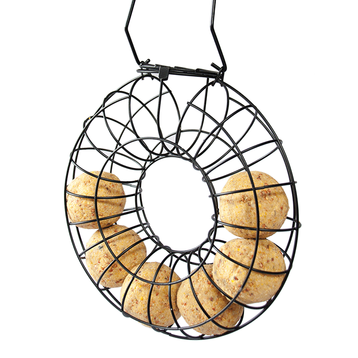 Suet Feeder Ring