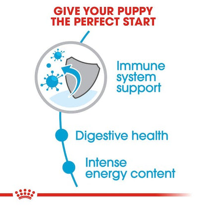 Royal Canin Mini Puppy