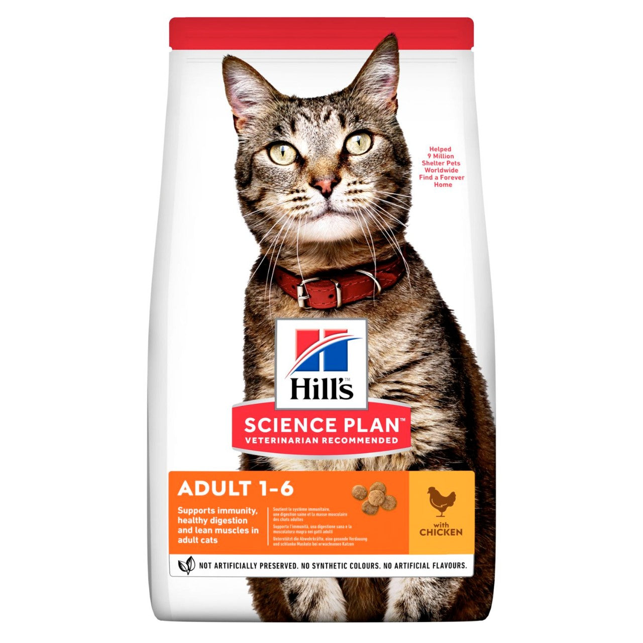 16 lb cat food best sale