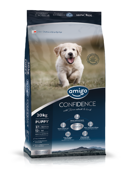 Amigo Confidence Puppy