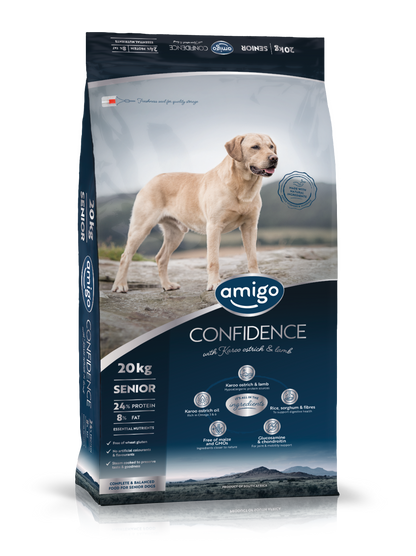 Amigo Confidence Senior