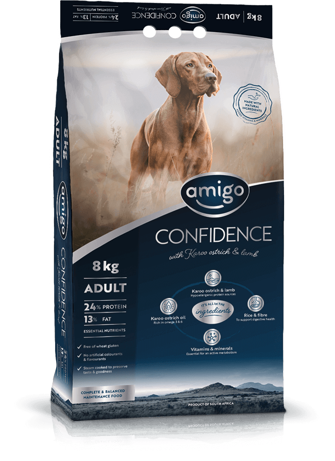 Amigo Confidence Adult Small