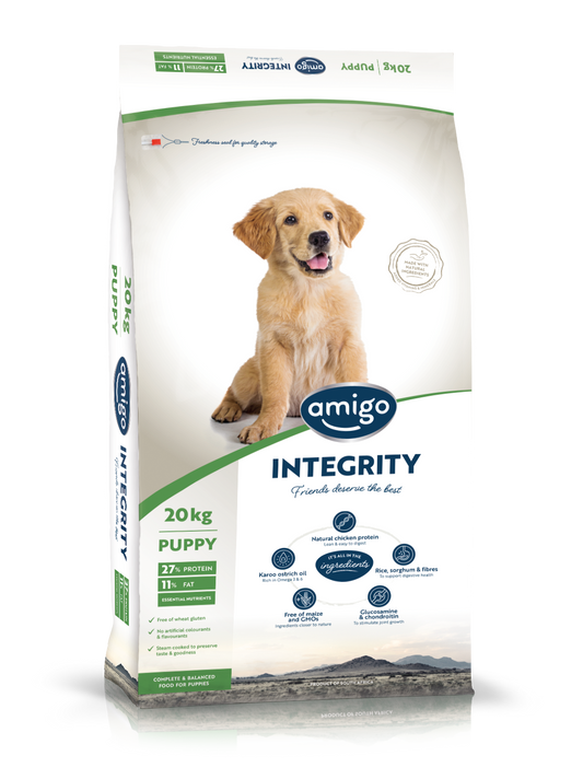 Amigo Integrity Puppy