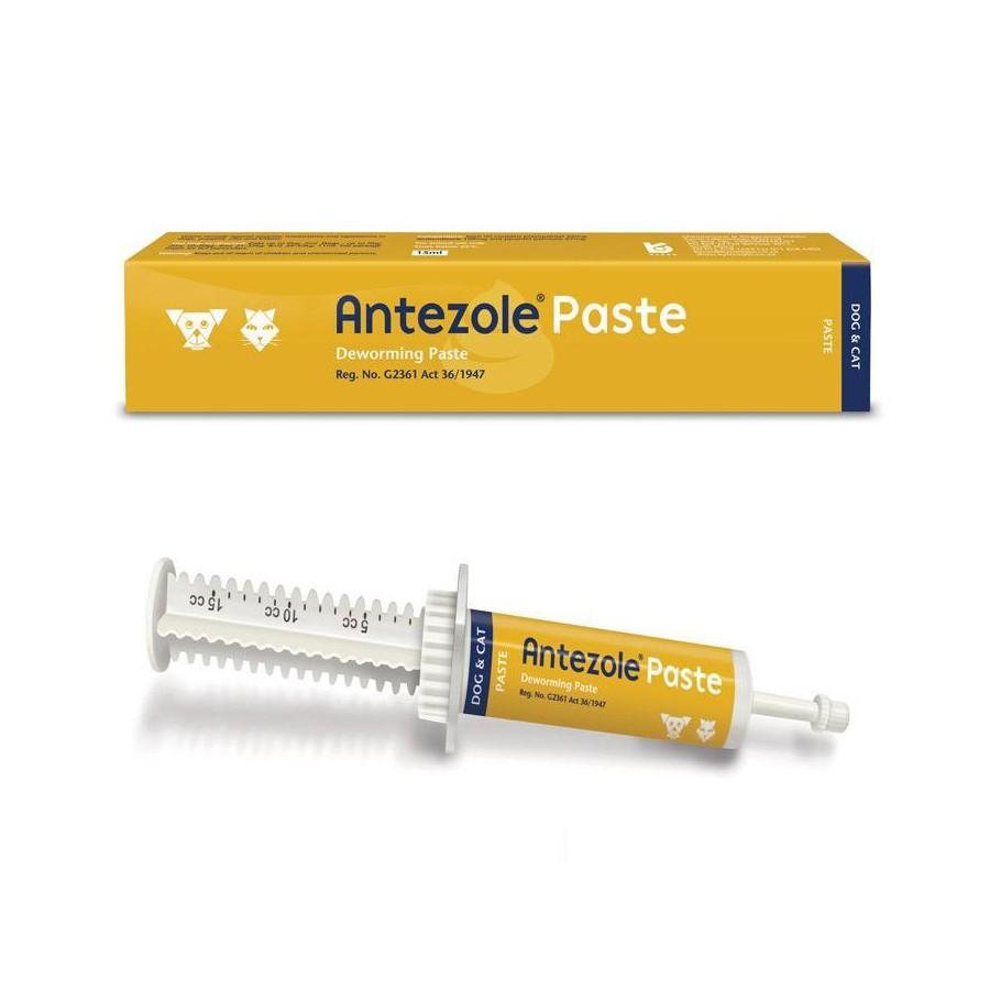 Antezole Paste 30ml