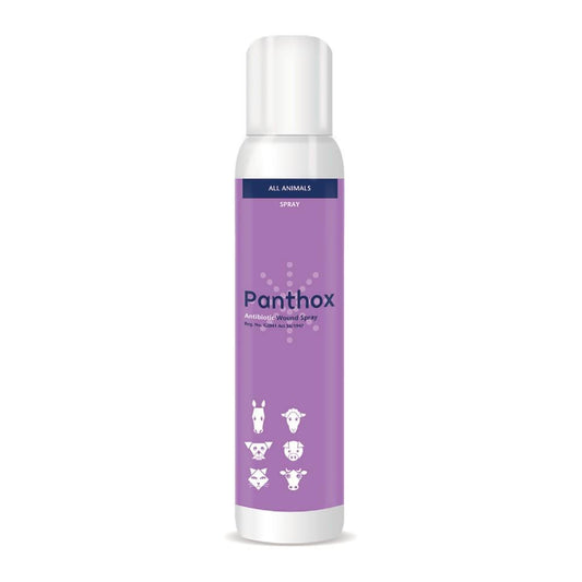 Panthox Spray (Gentian Violet) 200ml