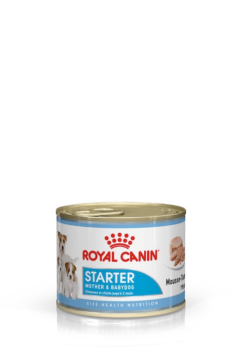 Royal Canin Starter Mousse Can  Pack of 12 X 195g